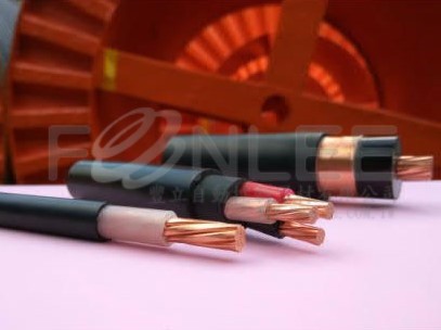 華新-600V PEX電纜 50m/㎡Ｘ4C