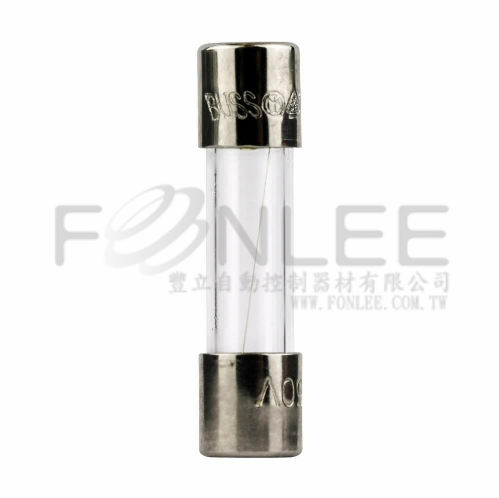 30mm 玻璃保險絲 6A         100PCS/盒